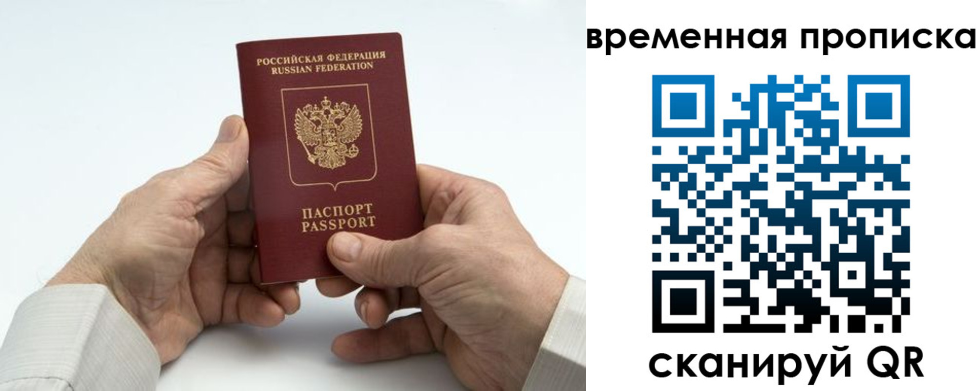прописка гарантия в Димитровграде
